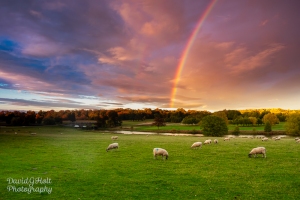 Winter Rainbow, Derbyshire