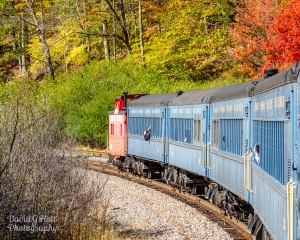 Autumn Train Ride