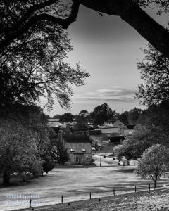 Autumn Evening, Black and White Infrared