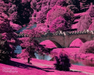 Bridge over the Aln, Color Infrared