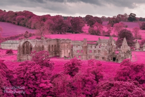 Egglestone Abbey, Color Infrared