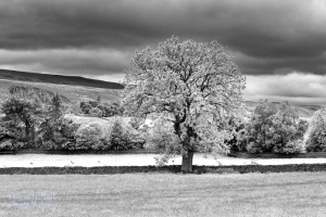 Teesdale, Black and White Infrared
