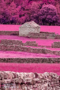 Teesdale, Color Infrared