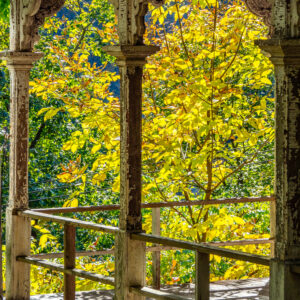 Trees Through the Arches Scenic Fine Art Print Wall Art
