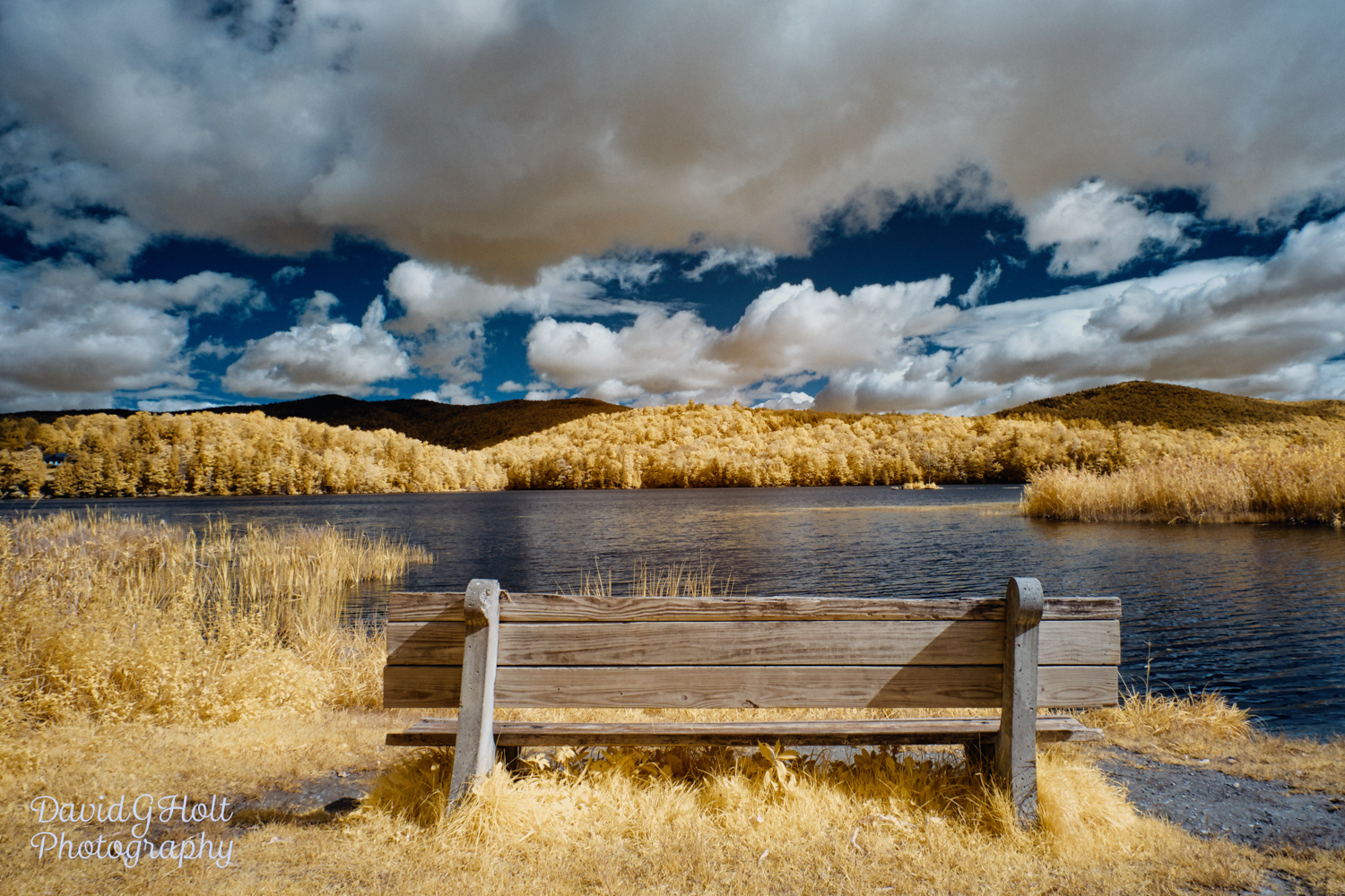 Bench at The Lake in Infrared Scenic Fine Art Print Wall Art