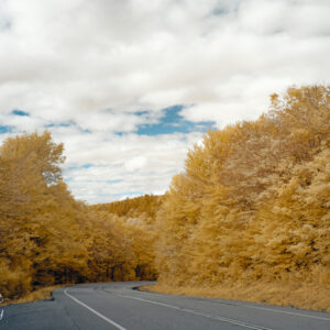 Road Through the Trees in Infrared Scenic Fine Art Print Wall Art