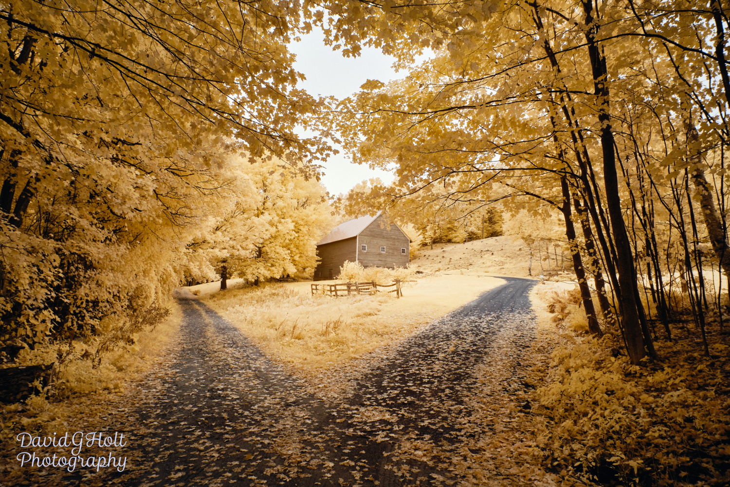 Which Way - New England Autumn in Infrared Scenic Fine Art Print Wall Art
