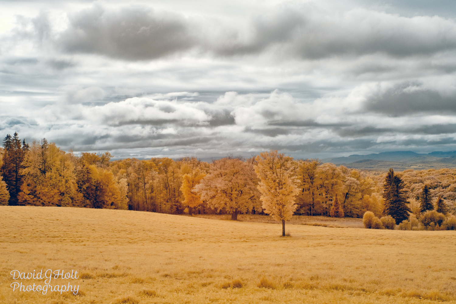 Cloudy Day in New England in Infrared Scenic Fine Art Print Wall Art