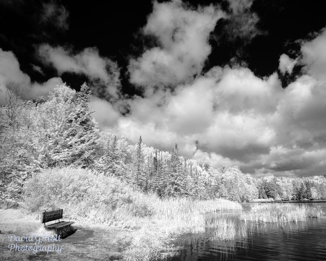 At the Lake in Infrared Scenic Fine Art Print Wall Art