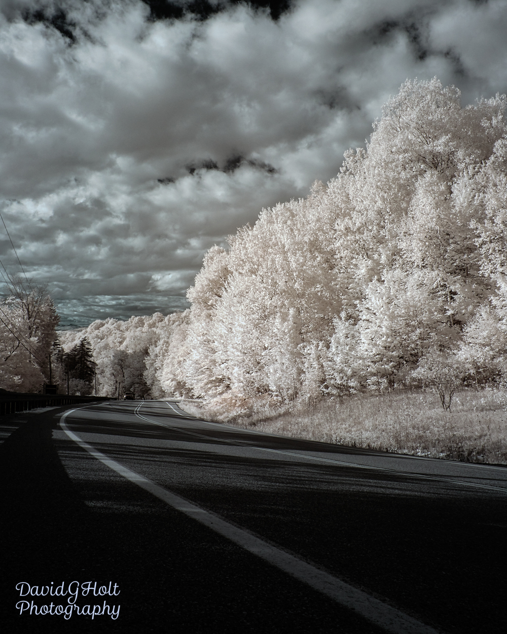 Clouds and Trees in Infrared Scenic Fine Art Print Wall Art