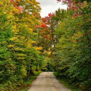 New England Back Roads in the Autumn Scenic Fine Art Print Wall Art