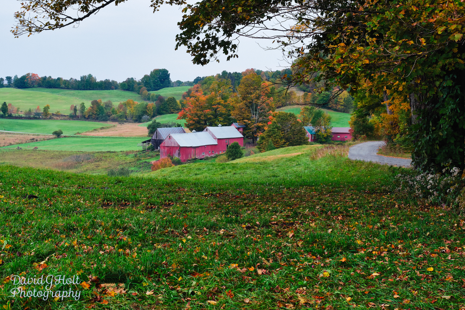 New England Farm and Autumn Leaves Scenic Fine Art Print Wall Art