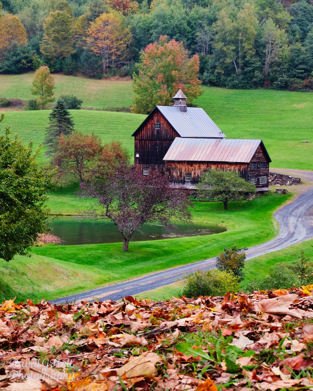 New England Barn and Autumn Leaves Scenic Fine Art Print Wall Art
