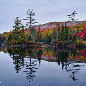 Autumn Reflections in the Morning Scenic Fine Art Print Wall Art